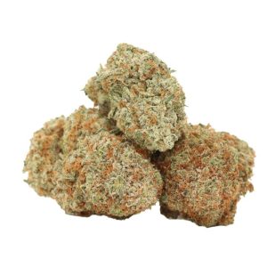 9 Pound Hammer AAAA+ Indica