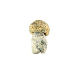 Avalanche Mushroom online