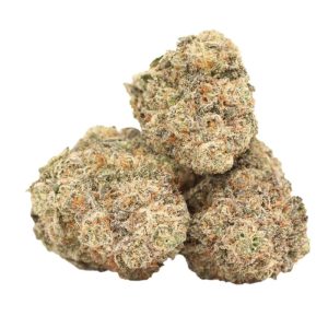 Ayahuasca Purple AAAA+ Indica