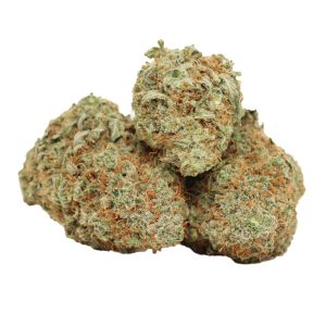 Casey Jones strain