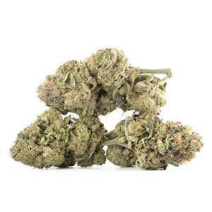 Chemdawg strain online
