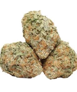 Buy Do Si Do Kush