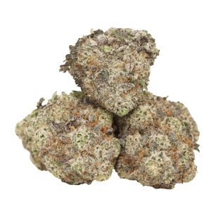 Purple Blizzard AAAA+ Hybrid Craft online