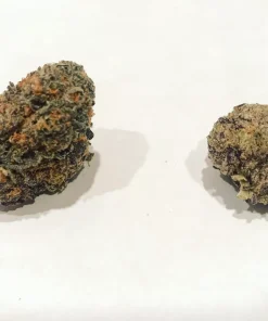 Purple Urkle strain