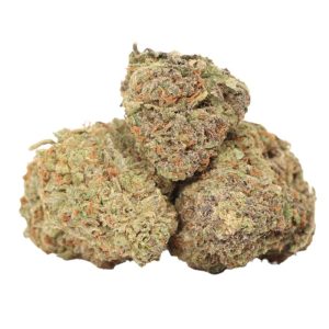 Purple Banner weed strain