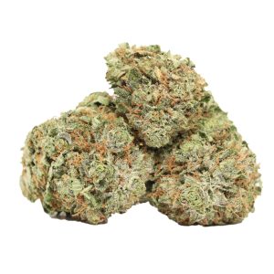Purple Kush Strain