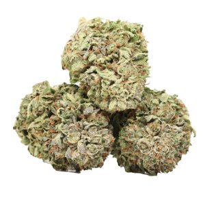 Purple Urkle strain