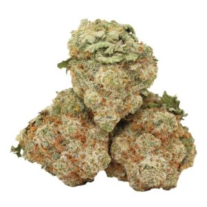 Trainwreck Kush Strain